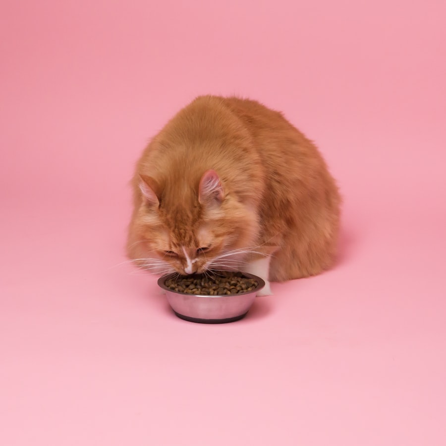 A ginger long-haired cat eating from a wide, shallow steel bowl.