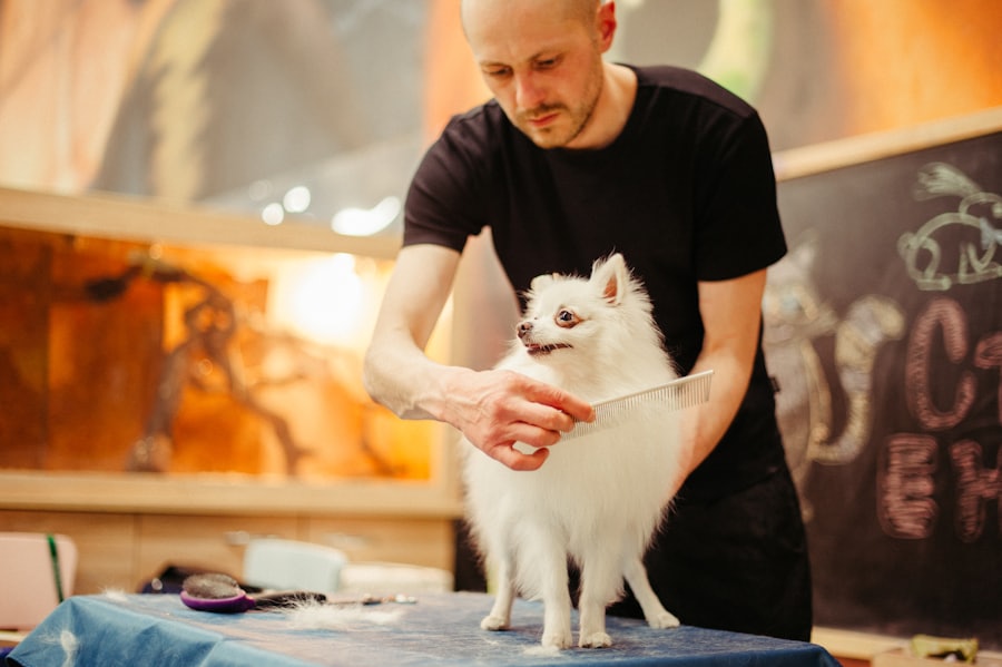 A groomer combing a small white Pomeranian standing on a grooming table.